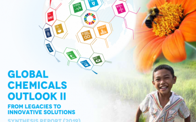 Full report on chemicals launched: UN Global Chemical Outlook II