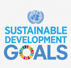 Logo UN SDGs